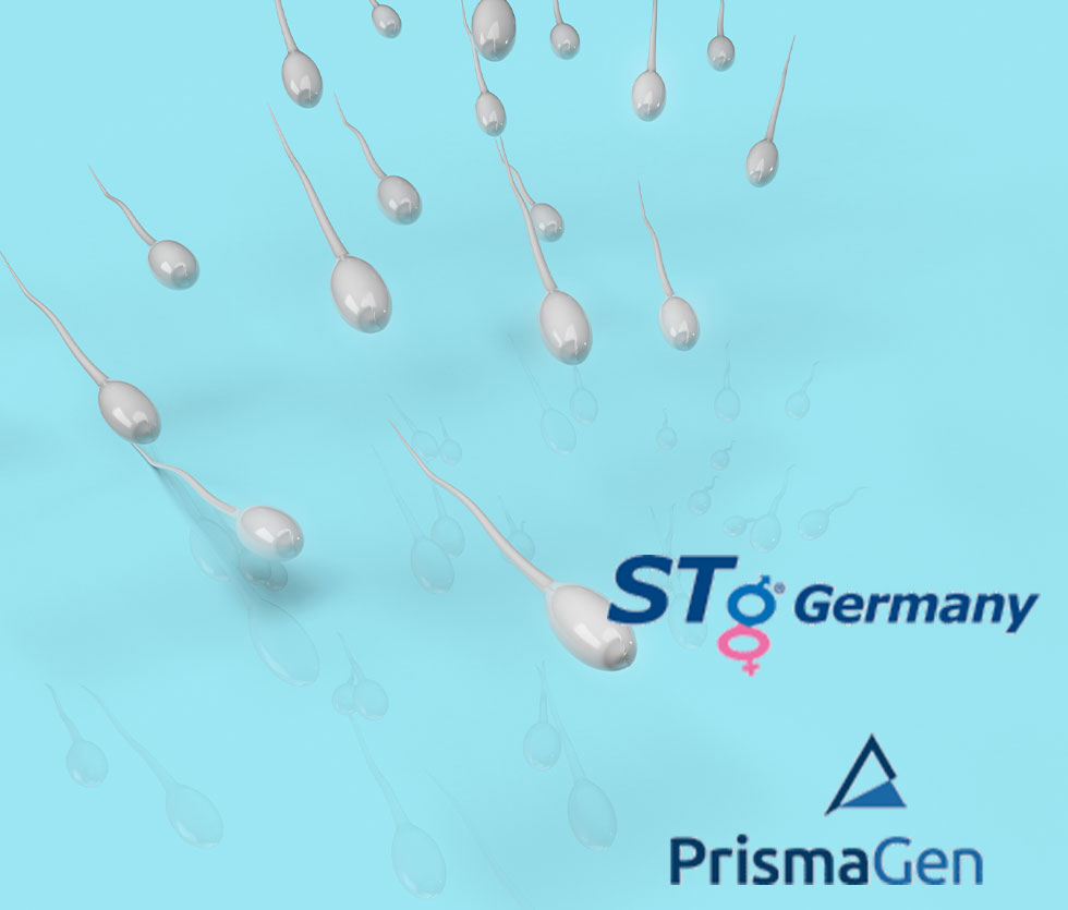 EU-Samendepot und Spermavertrieb für STg Germany / prismagen